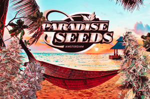 Paradise Seeds семена