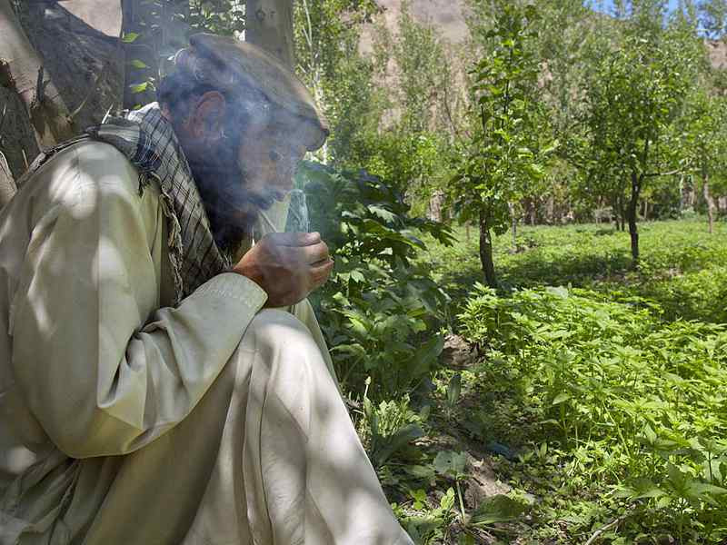 эффект от афганской марихуаны